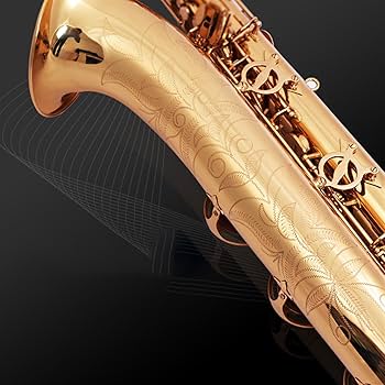 木管楽器とその歴史　アンソニー・ヘインズ 木管楽器とその歴史 アンソニー・ヘインズ